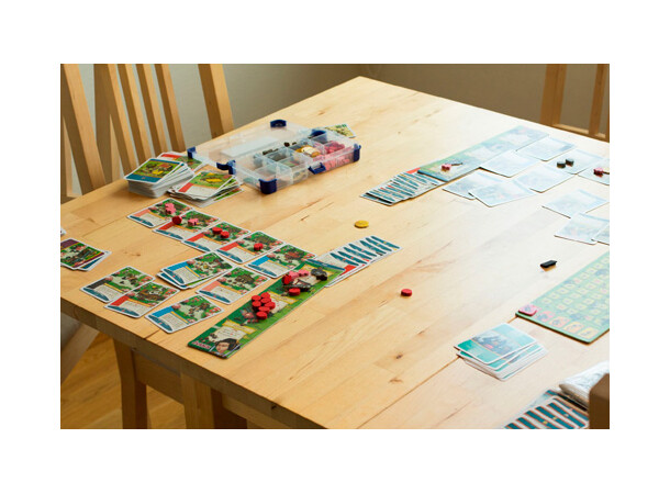 Imperial Settlers Brætspil 
